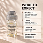 What to expect — instantly, 1 week, 1 month, maintenance